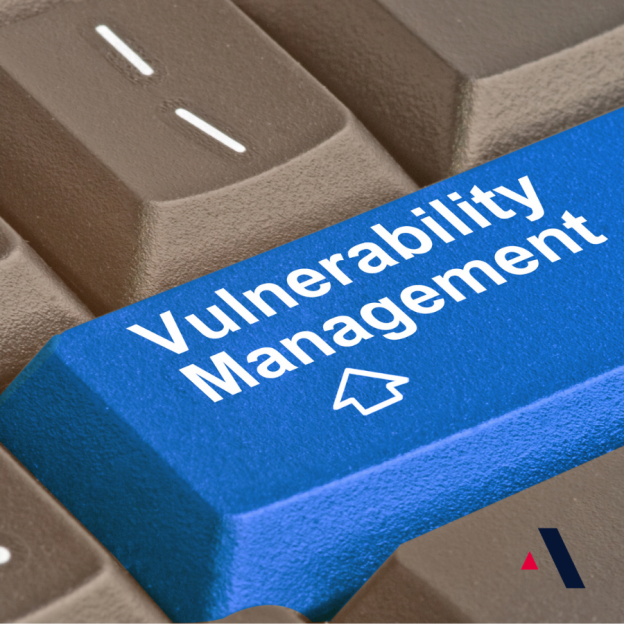 Vulnerability Management